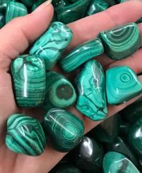 Gem Adventures Fine Jewelers & Rock Shop