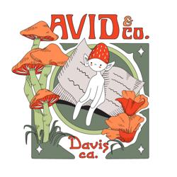 Avid & Co.
