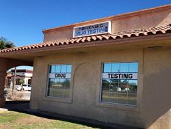 Forensic Drug Testing Services, Inc.