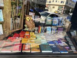 Owl & Company Bookshop