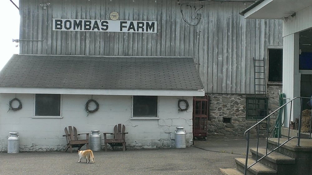 Bomba Brothers Farm