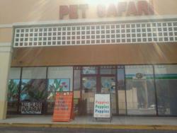 Pet Safari - In Store Shopping or CURB SIDE assistance