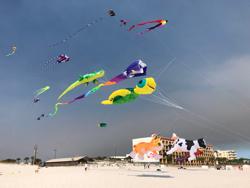 Kitty Hawk Kites