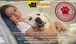 Haynes Brothers Furniture and Mattress Ormond