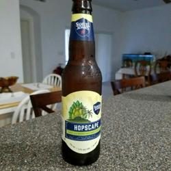 Beer Frog Liquor Store