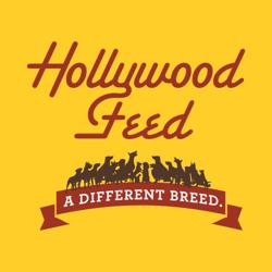 Hollywood Feed