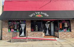 Berry Trap Boutique LLC