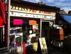 Ellis's Pet Store