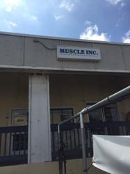 Muscle Inc.