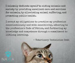 West Central Veterinary Services: Ahlemeyer Nathan L DVM