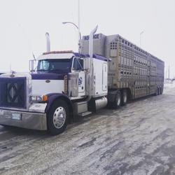 D & S Trucking Inc