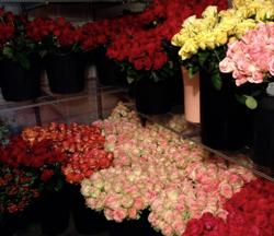 Christoffers Flowers & Gifts