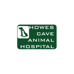 Howes Cave Animal Hospital: Atkinson Amber DVM