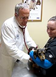 Middletown Veterinary Hospital: Susen Elizabeth DVM