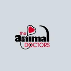 Animal Doctors Veterinary Clinic: Young Stephanie DVM