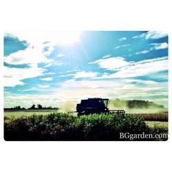 Tractor Supply Co.