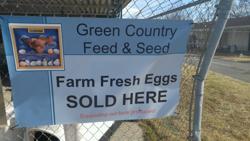 Green Country Feed & Seed