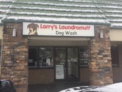 Larry's Laundromutt