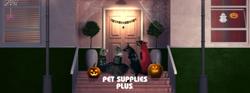 Pet Supplies Plus North Providence