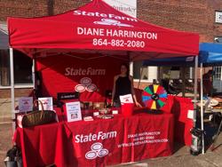 Diane Harrington - State Farm Insurance Agent