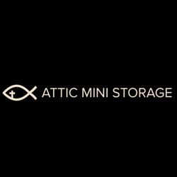 Attic Mini Storage