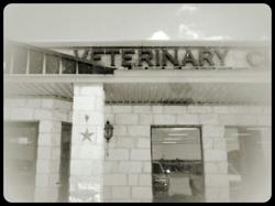 Chisholm Trail Veterinary Clinic of Lockhart