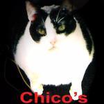 Chico's Natural Pet Market