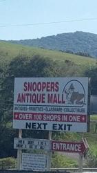 Snoopers Inc
