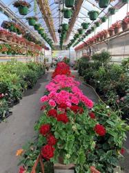Nehm's Greenhouse & Floral