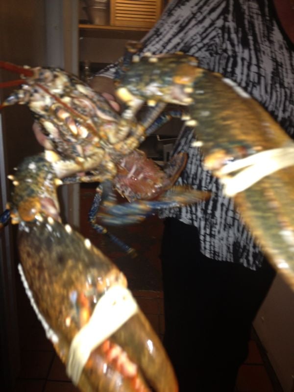Taste Fish & Grill Bar