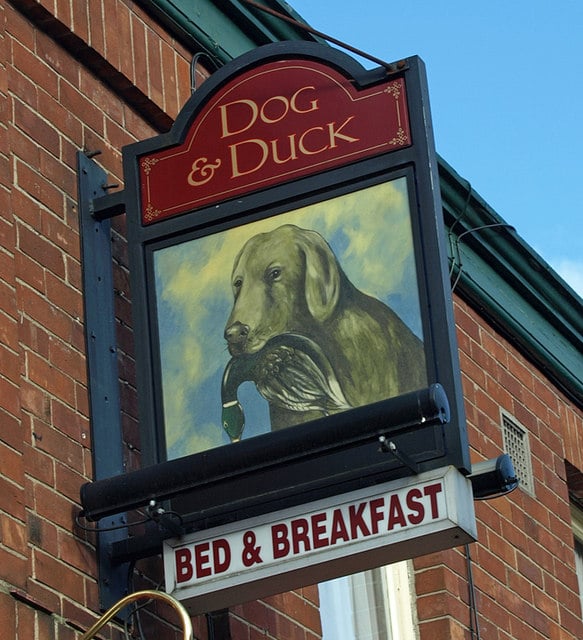 Dog & Duck Inn