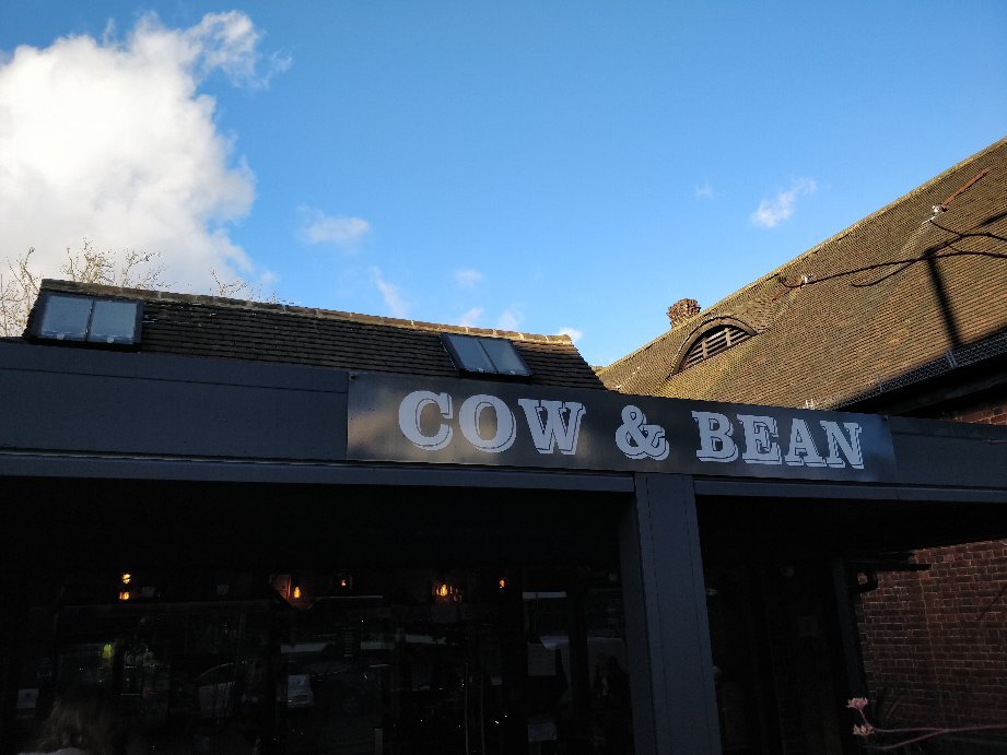 Cow & Bean