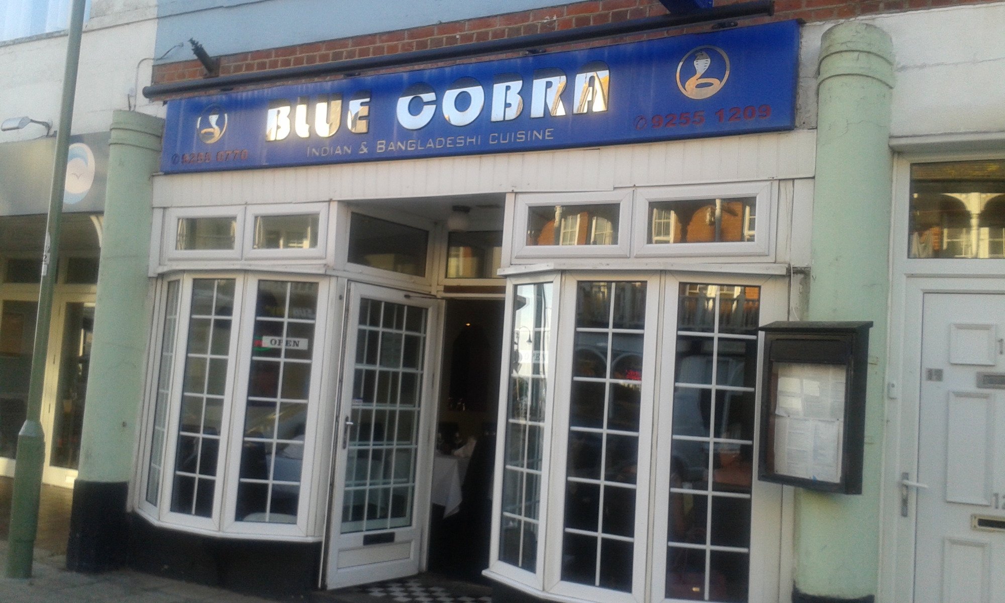 Blue Cobra