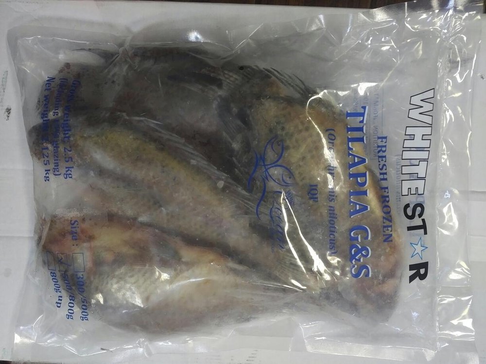 Blue Ocean Seafoods Ltd