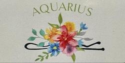 Aquarius Beauty Boutique
