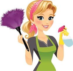 Let It Shine Cleaning Services