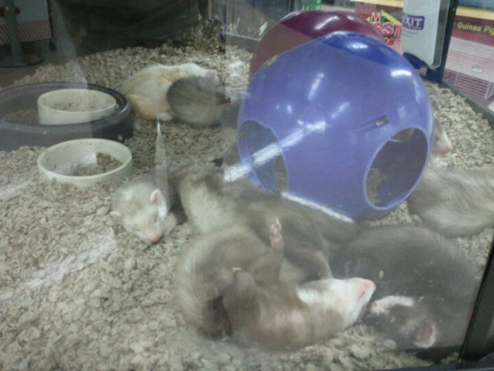 Photo credit: yellowpages