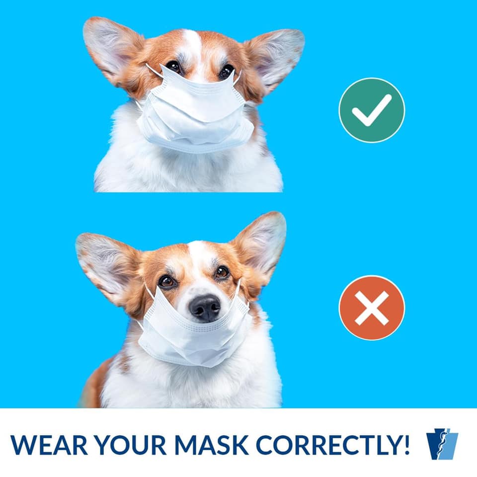 Schillinger Veterinary Clinic: Turberville Catherine DVM Semmes