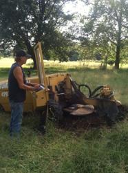 A & N Tree Service and Stump Grinding