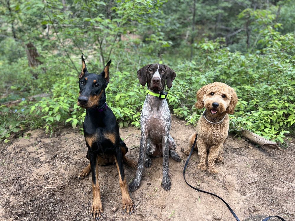Photo credit: 