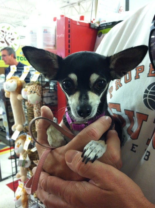 Photo credit: yellowpages