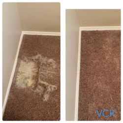 Valley Carpet Repair