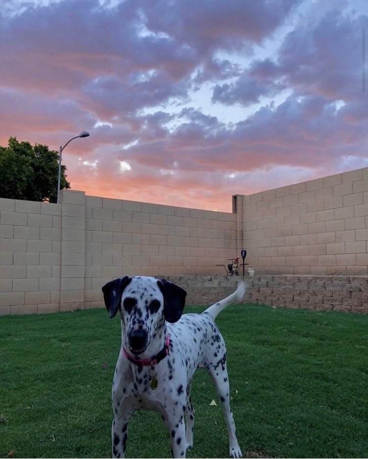 Photo credit: 