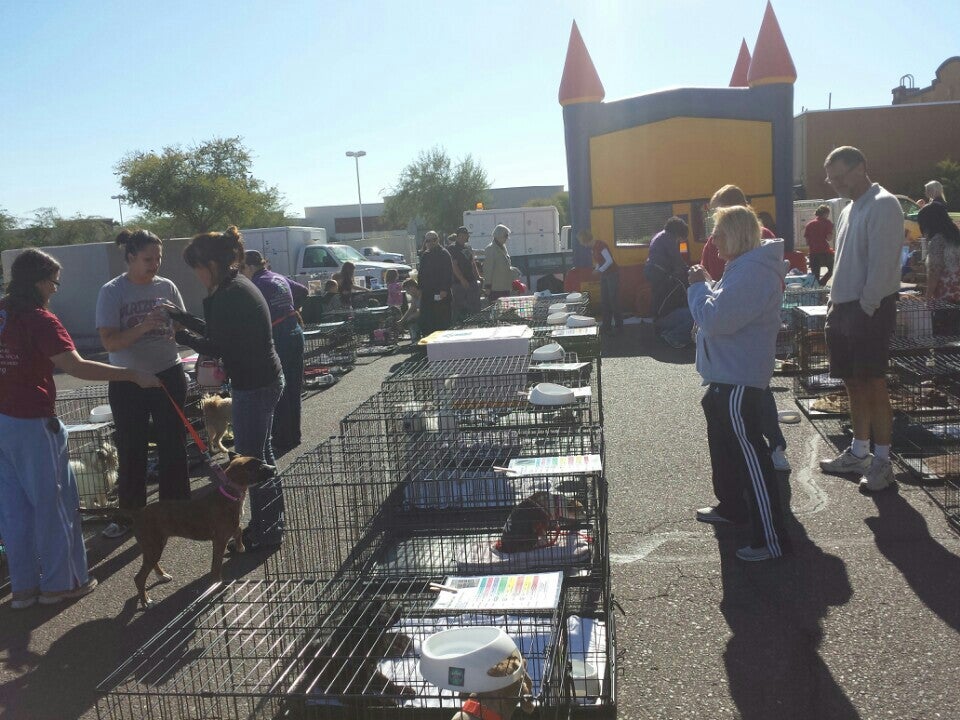 Photo credit: yellowpages