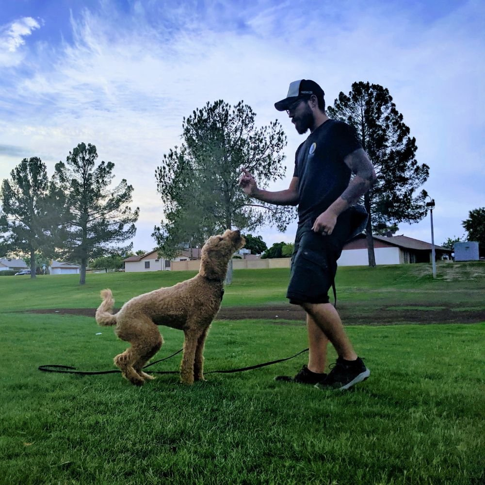 Photo credit: 
