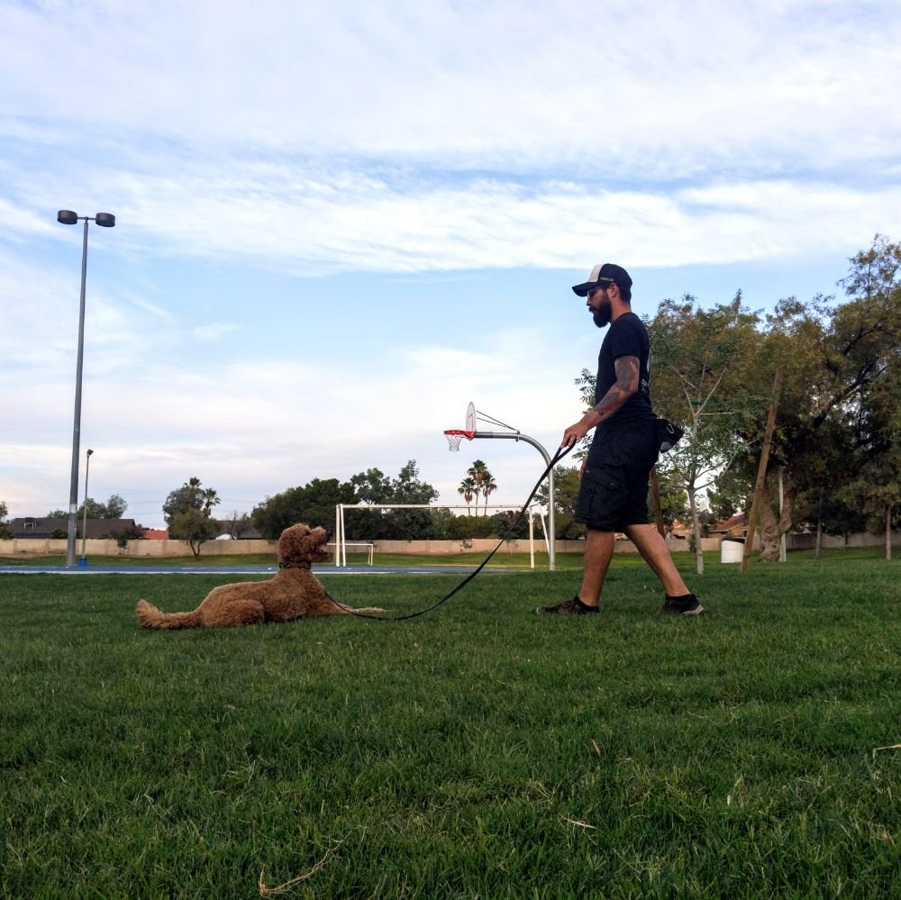 Photo credit: 