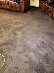 Doctor Steam Carpet & Upholstery Cleaning