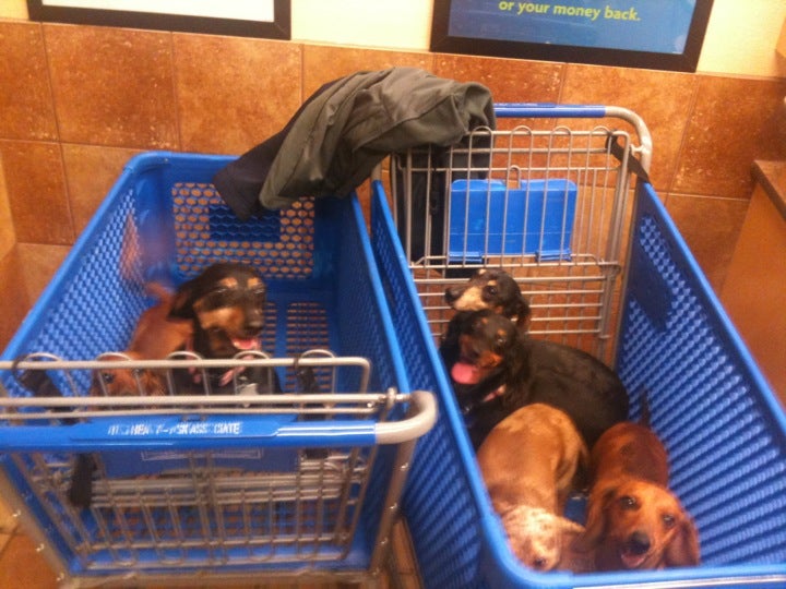 Photo credit: yellowpages