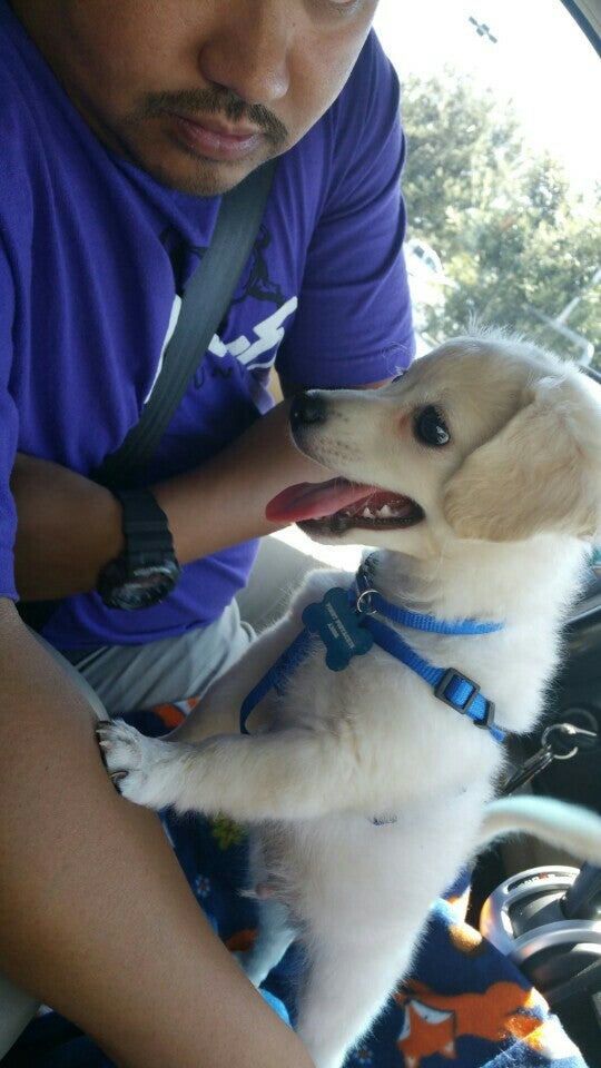 Photo credit: yellowpages