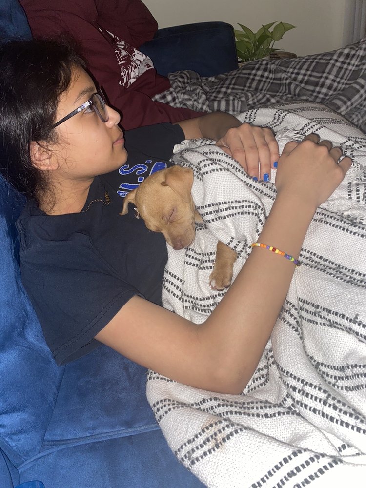 Photo credit: 